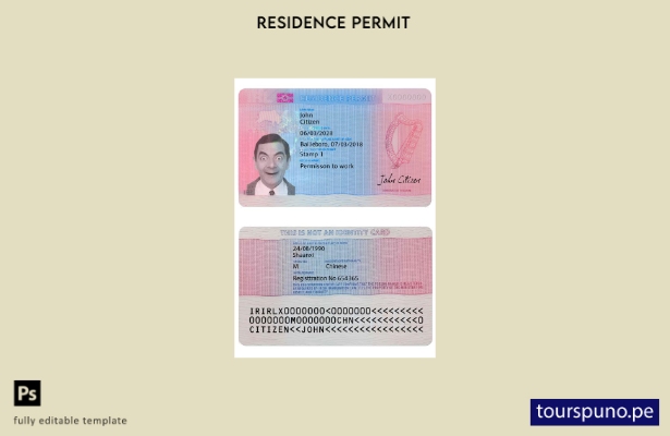 Plantilla de permiso de residencia en Irlanda lista para imprimir